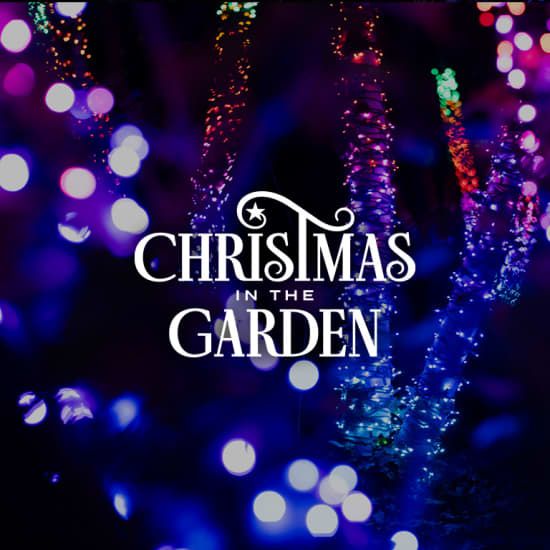 Christmas in the Garden at the Fort Worth Botanic Garden