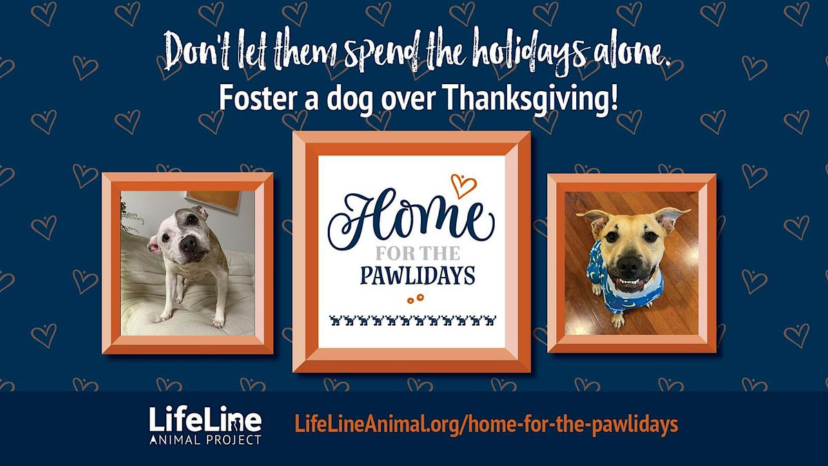 Home for the Pawlidays 2025