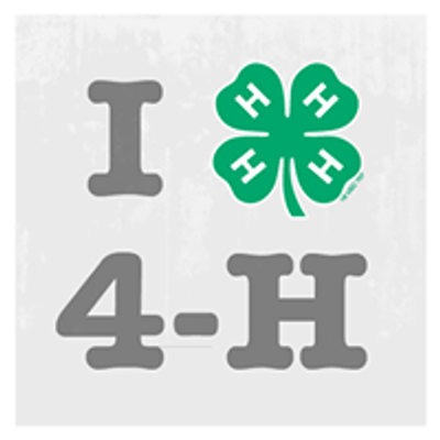 Berrien County 4-H Youth Program