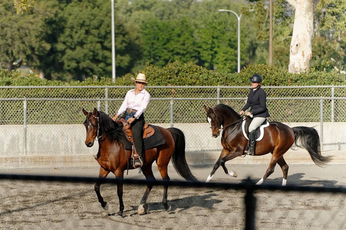 December 2025 Sunday Horse Show