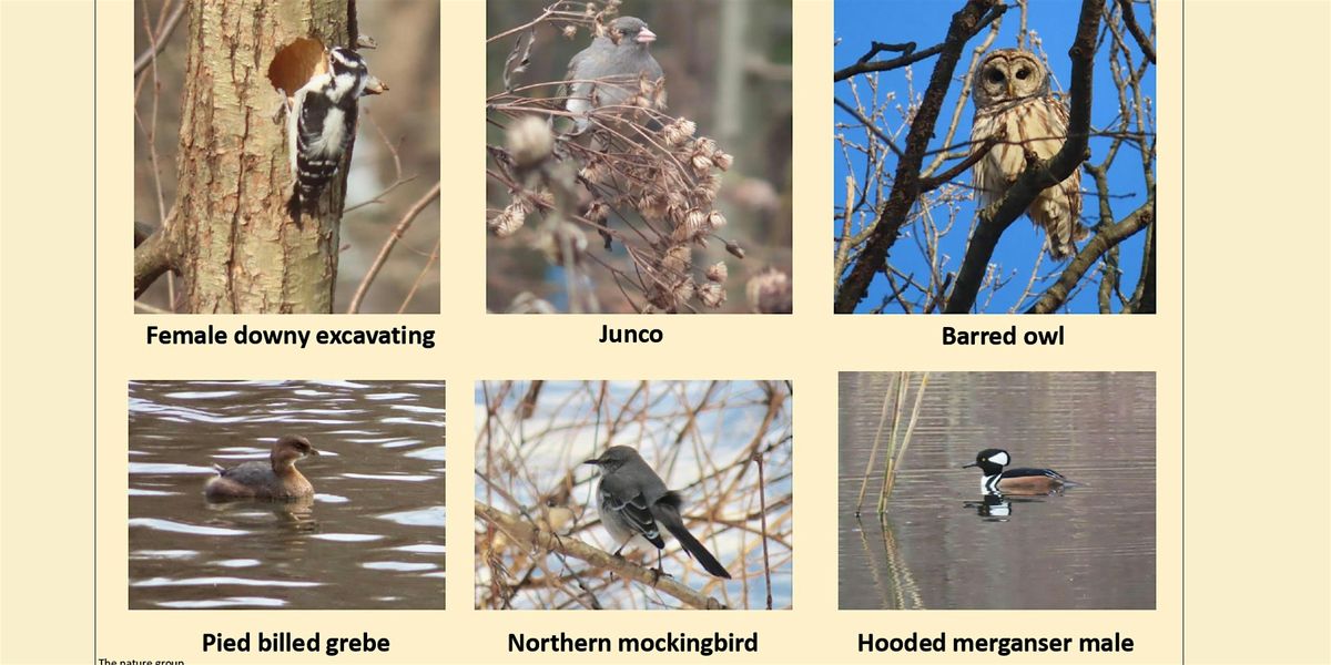 Van Cortlandt Nature Group Walk