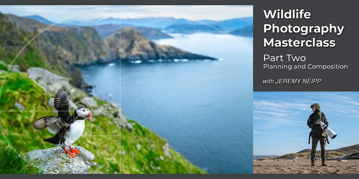 Wildlife Photography Masterclass - Part 2 - Planning and Composition