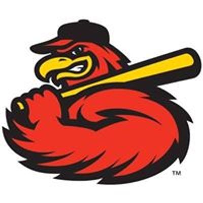 Rochester Red Wings