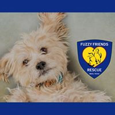 Fuzzy Friends Rescue