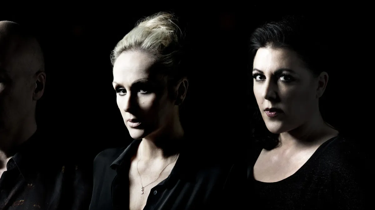 The Human League in Limerick