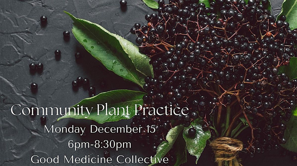 Community Plant Practice: Winter