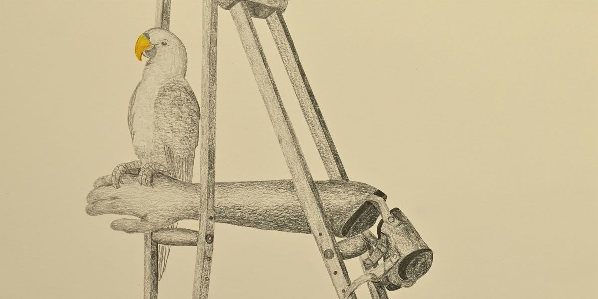 Artist Talk - Konstantinos Kantartzis: Perception Exercises II