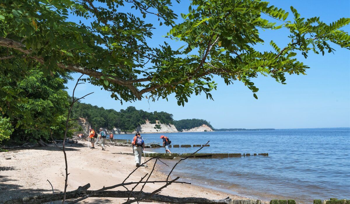 Parking Beach Fossils (17+)