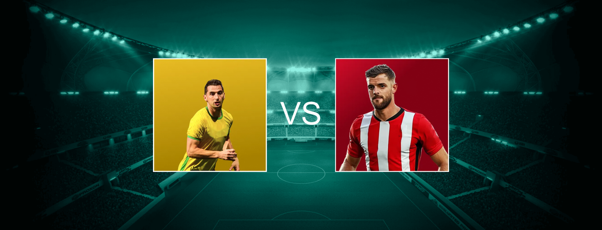 Southampton FC vs Norwich City FC at St Mary's Stadium