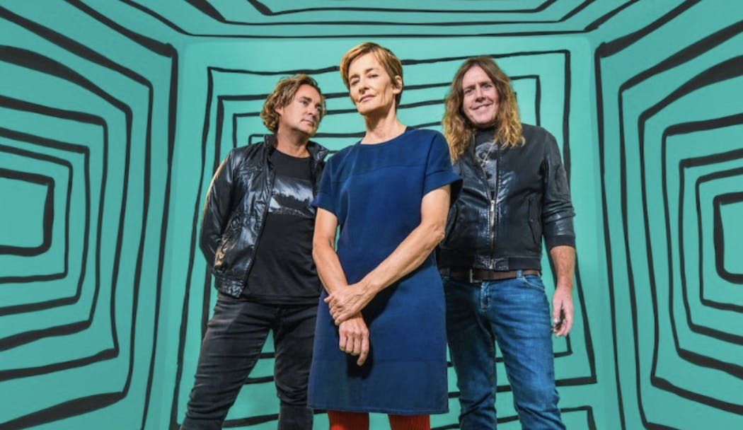 Spiderbait