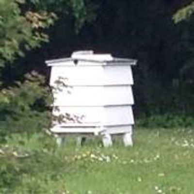 E.H. Thorne (Beehives) Ltd