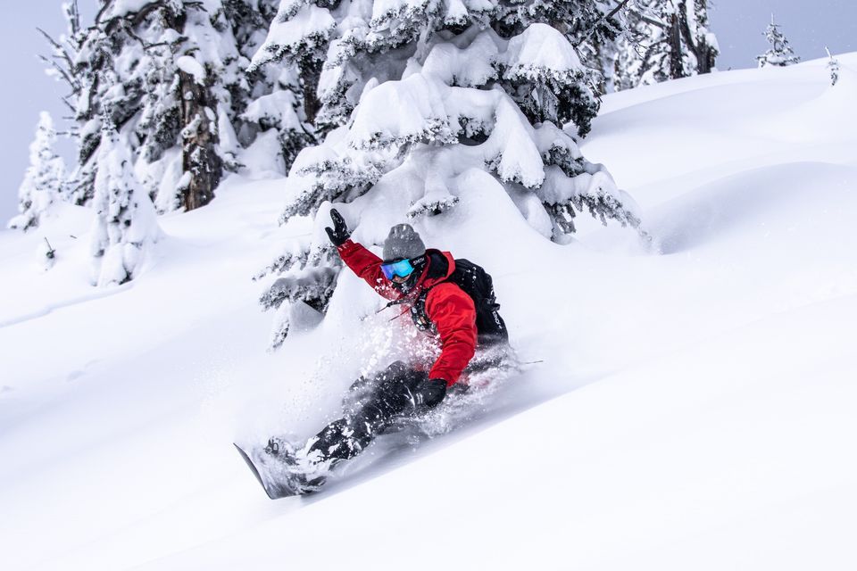 Factotum Softcore X GRUFF Brewing Gruff Brewing Bellingham WA factotum-softcore-x-gruff-brewing-gruff-brewing-bellingham-wa