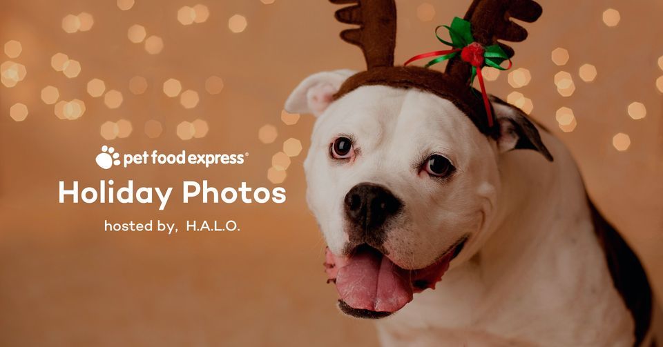 Pet Food Express Antioch - Holiday Photo Event | Pet Food Express