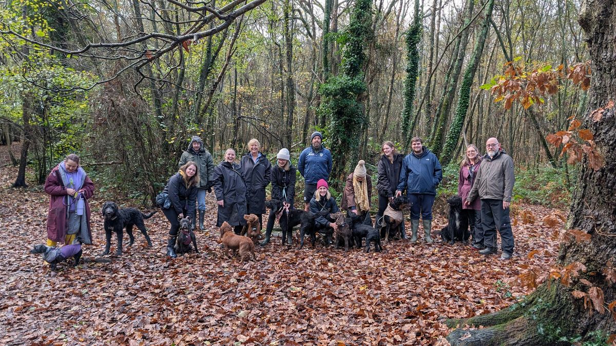 MorePaws Walking Club - Alexandra Park