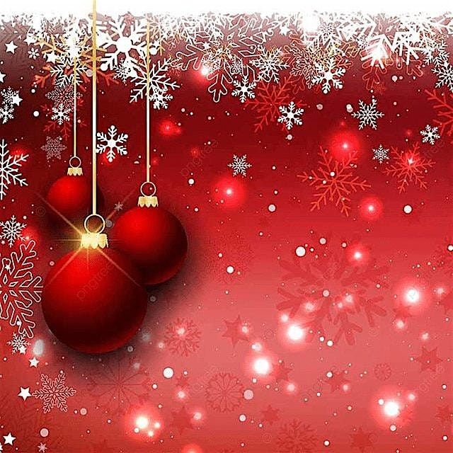 Women of the Word(WOW) 2025 Christmas Celebration