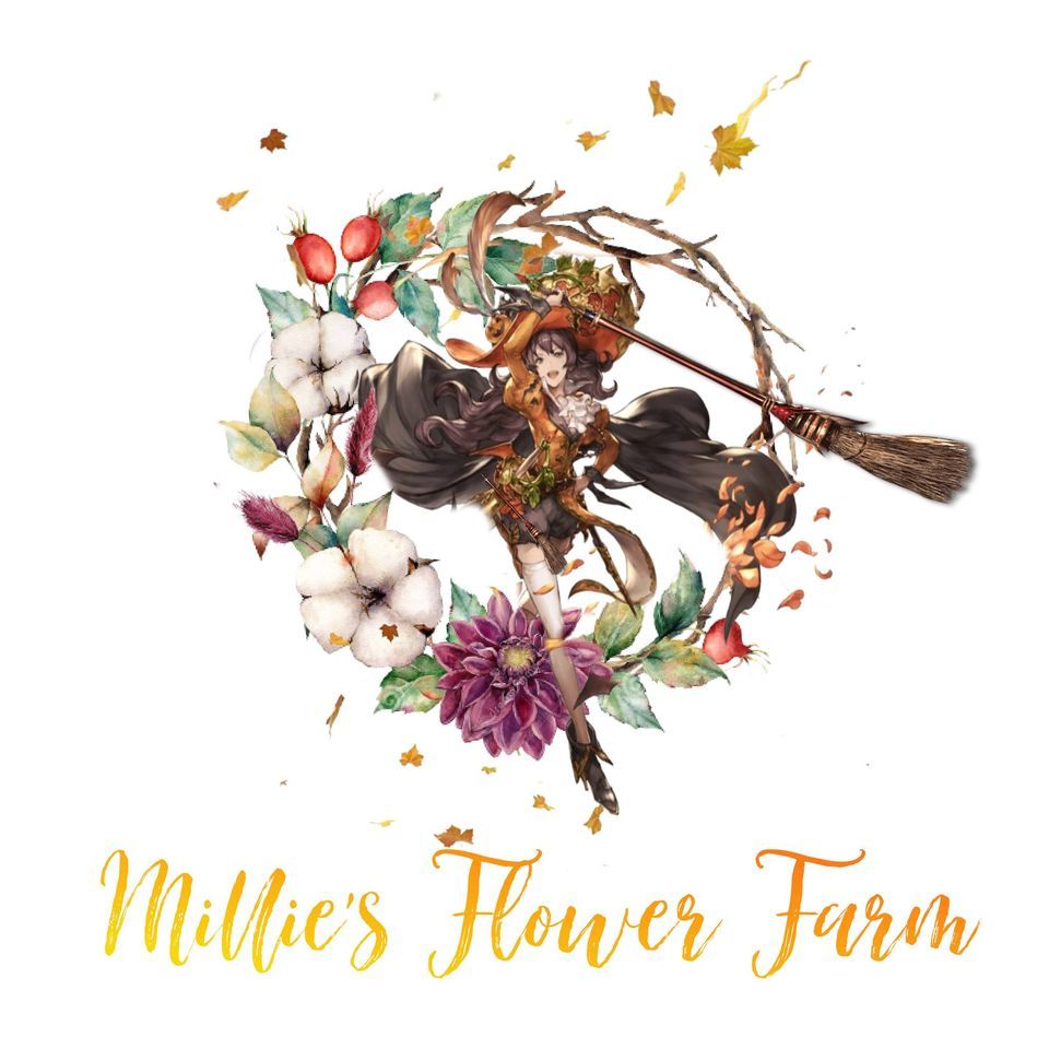millies-flower-farm-will-be-at-bewitched-and-bedazzled-fall-festival