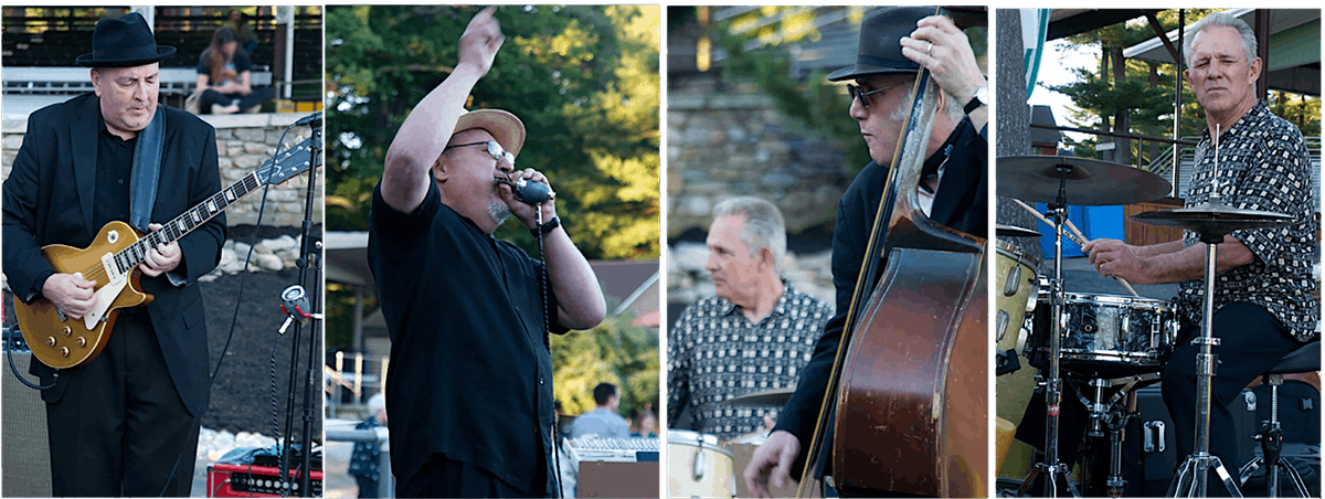 Sugar Ray and the Bluetones at the Frontroom