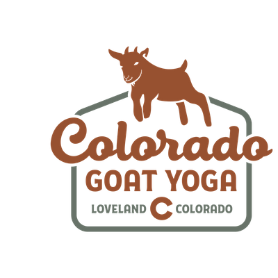 Colorado Goat Yoga