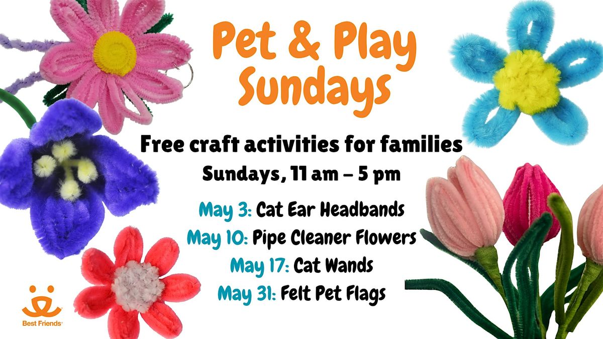 Pet and Play Sundays: Cat Wands