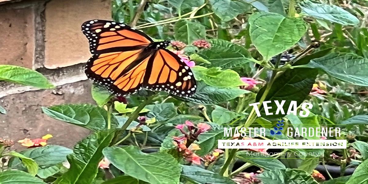 Pollinators: What Are They and Why Do We Need Them?
