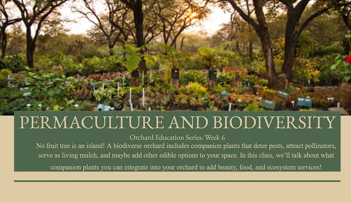 Permaculture & Biodiversity in The Orchard: Orchard Education Series