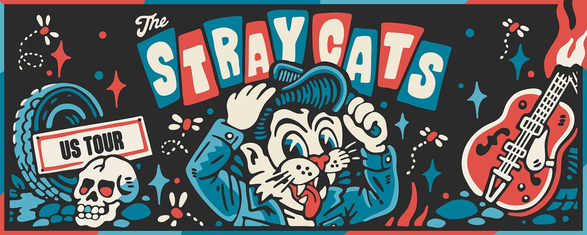 Stray Cats