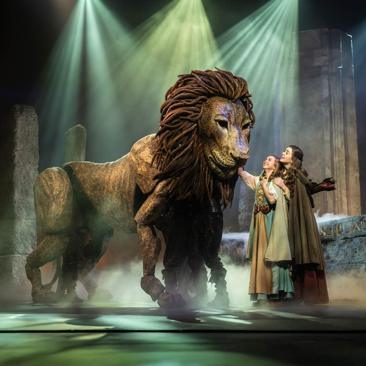 The Lion  The Witch And The Wardrobe