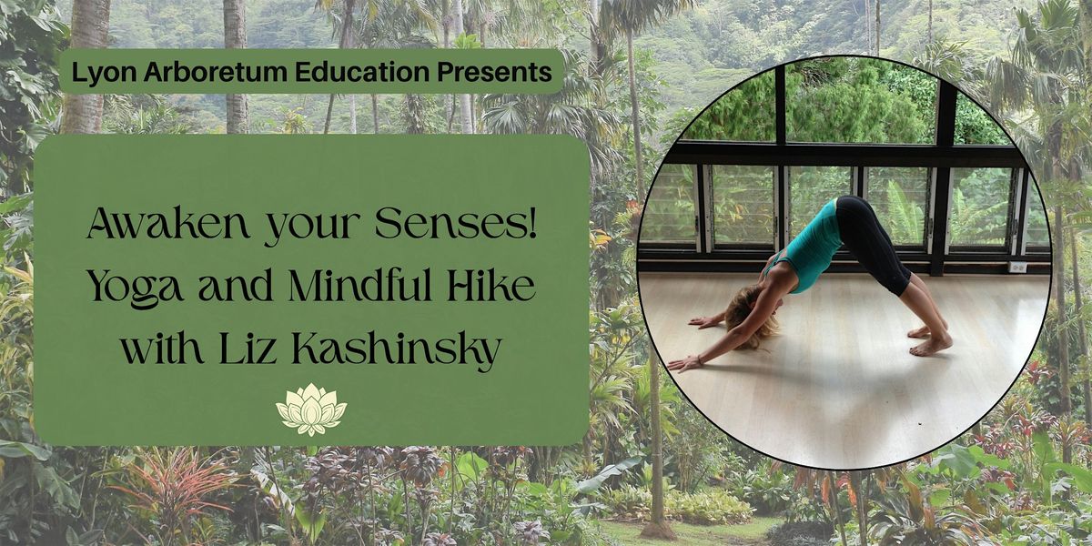 Awaken Your Senses! Yoga and Mindful Hike - January