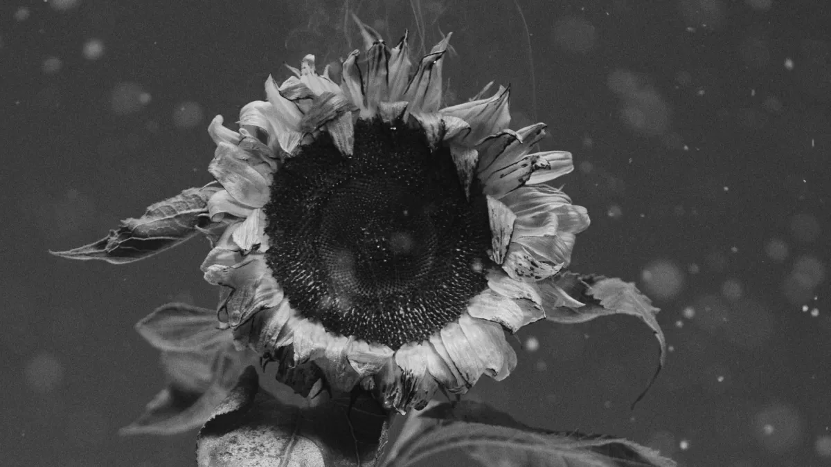 Ralph Kaminski in Warszawa