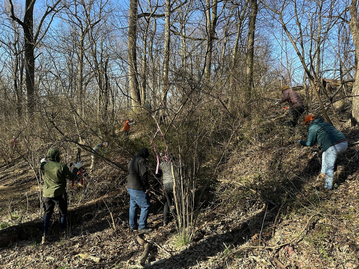 Give Back to Nature at High Family Nature Preserve