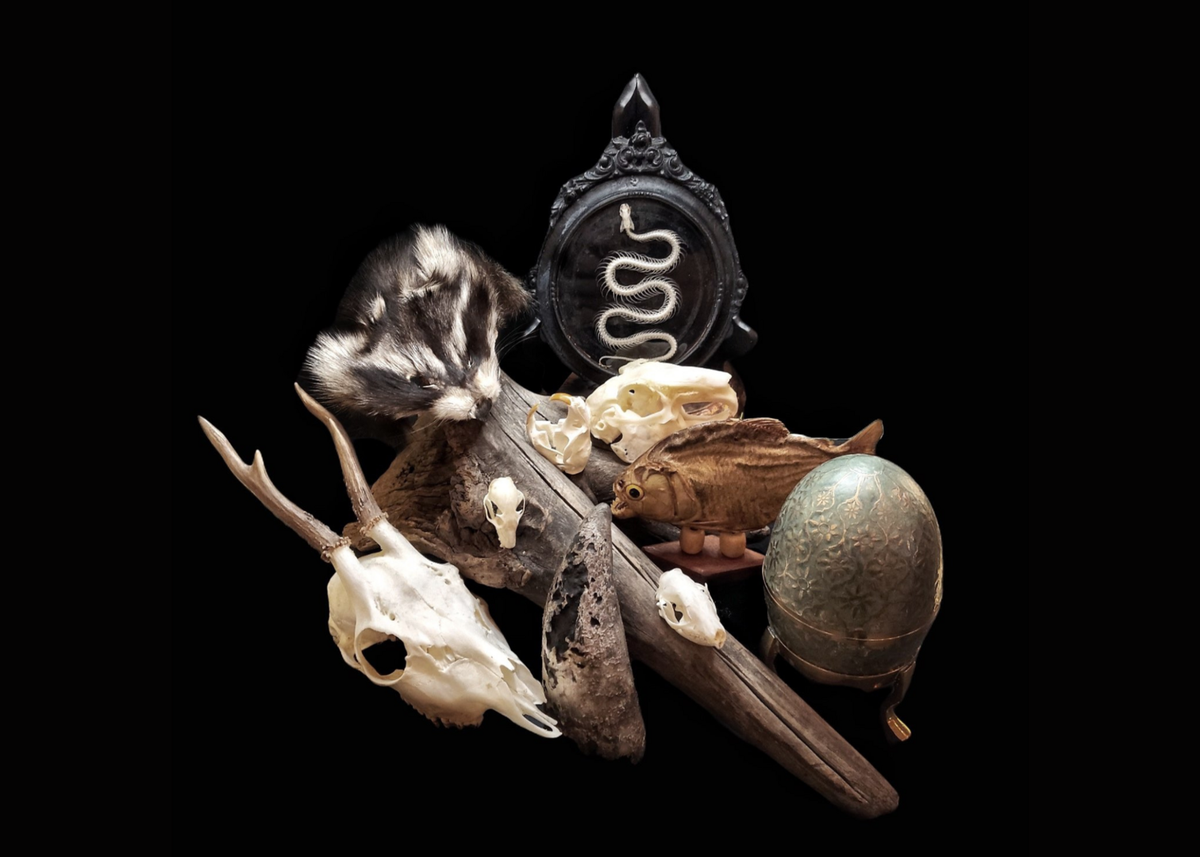 Oddities and Curiosities Expo - Sunday at Kansas City Convention Center