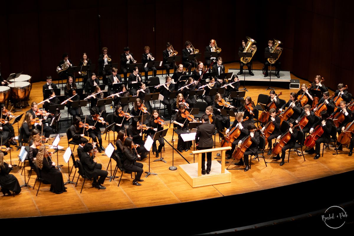 Spokane Youth Symphony: The Power of Persistance