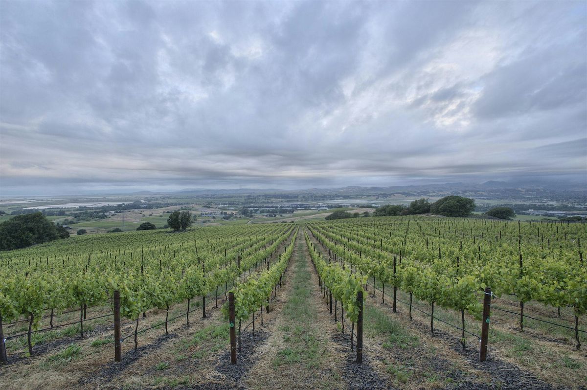 Chart House - Cakebread Cellars Wine Dinner - Newport