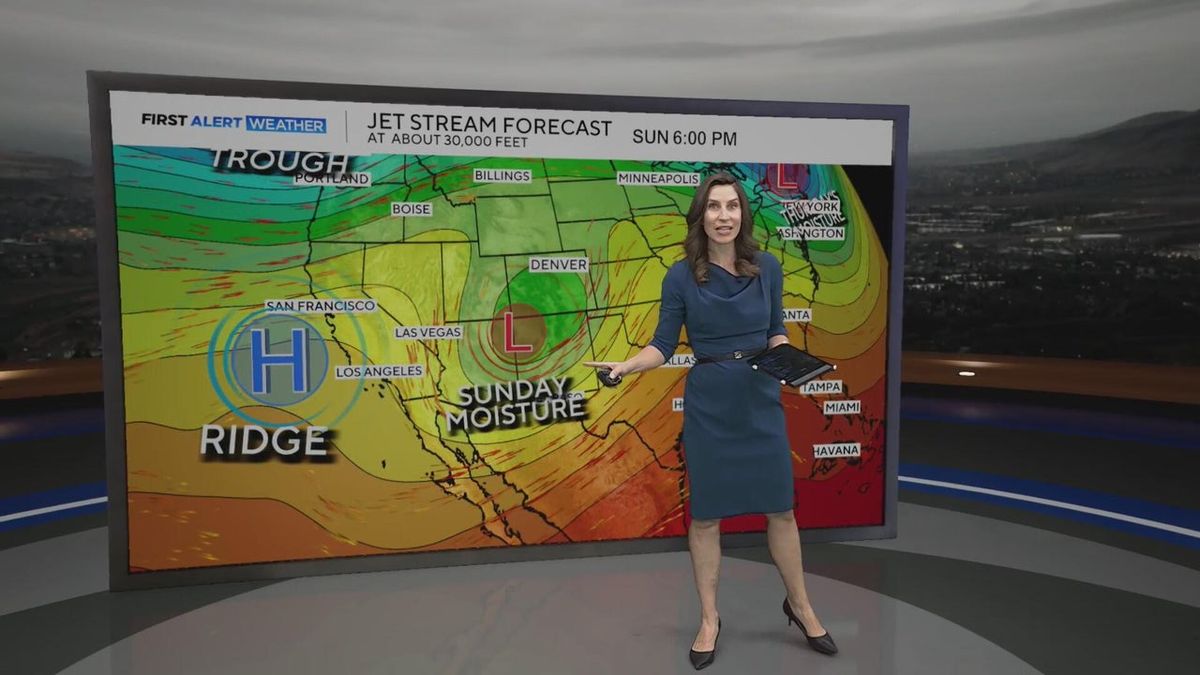 Taper's Choice (21+)