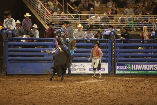 Florida Rodeo Schedule 2022 11Th Monster Bulls | Osceola Heritage Park, Kissimmee, Fl | February 12,  2022