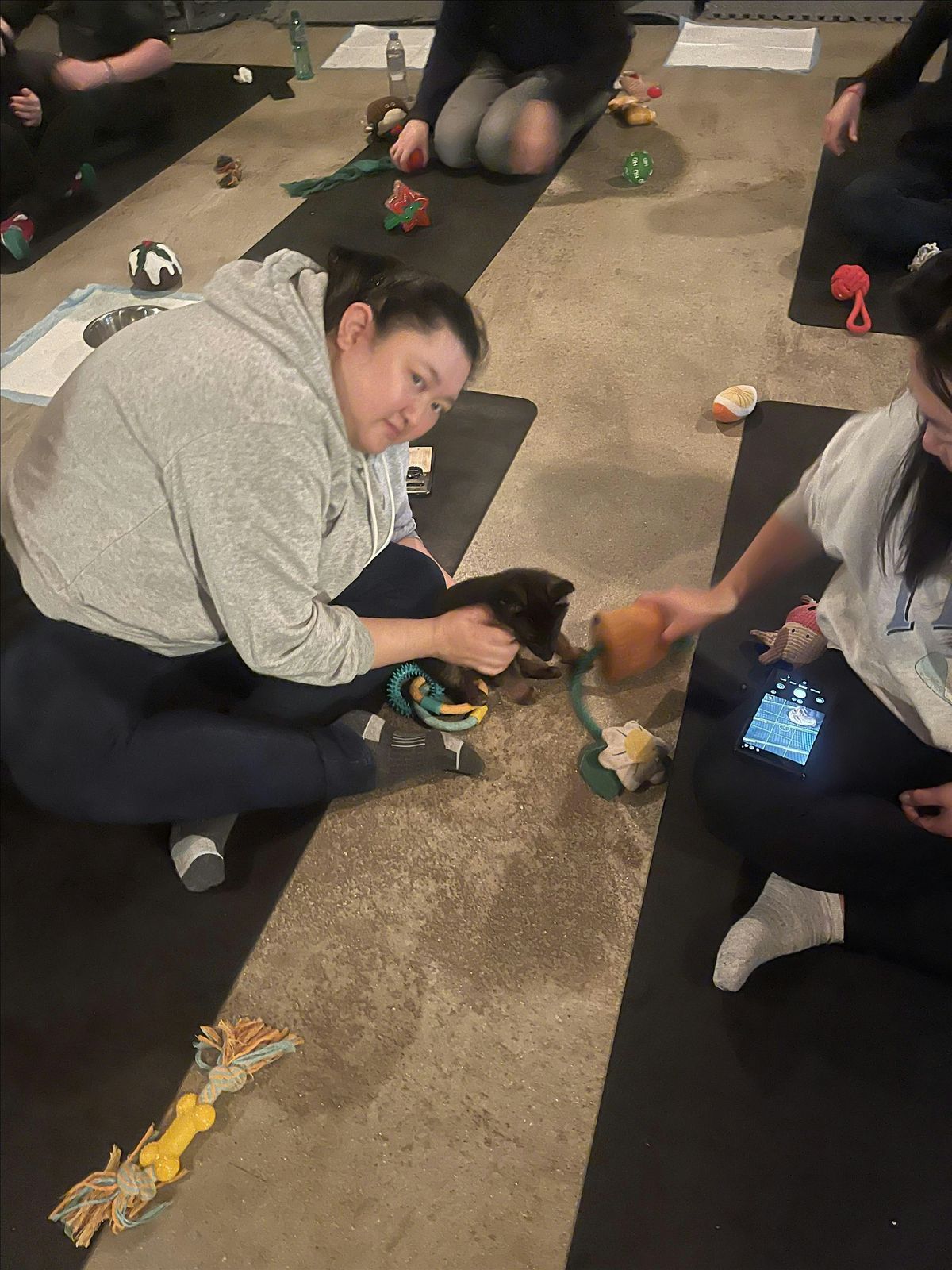 PUPPY YOGA (yoga with puppies)