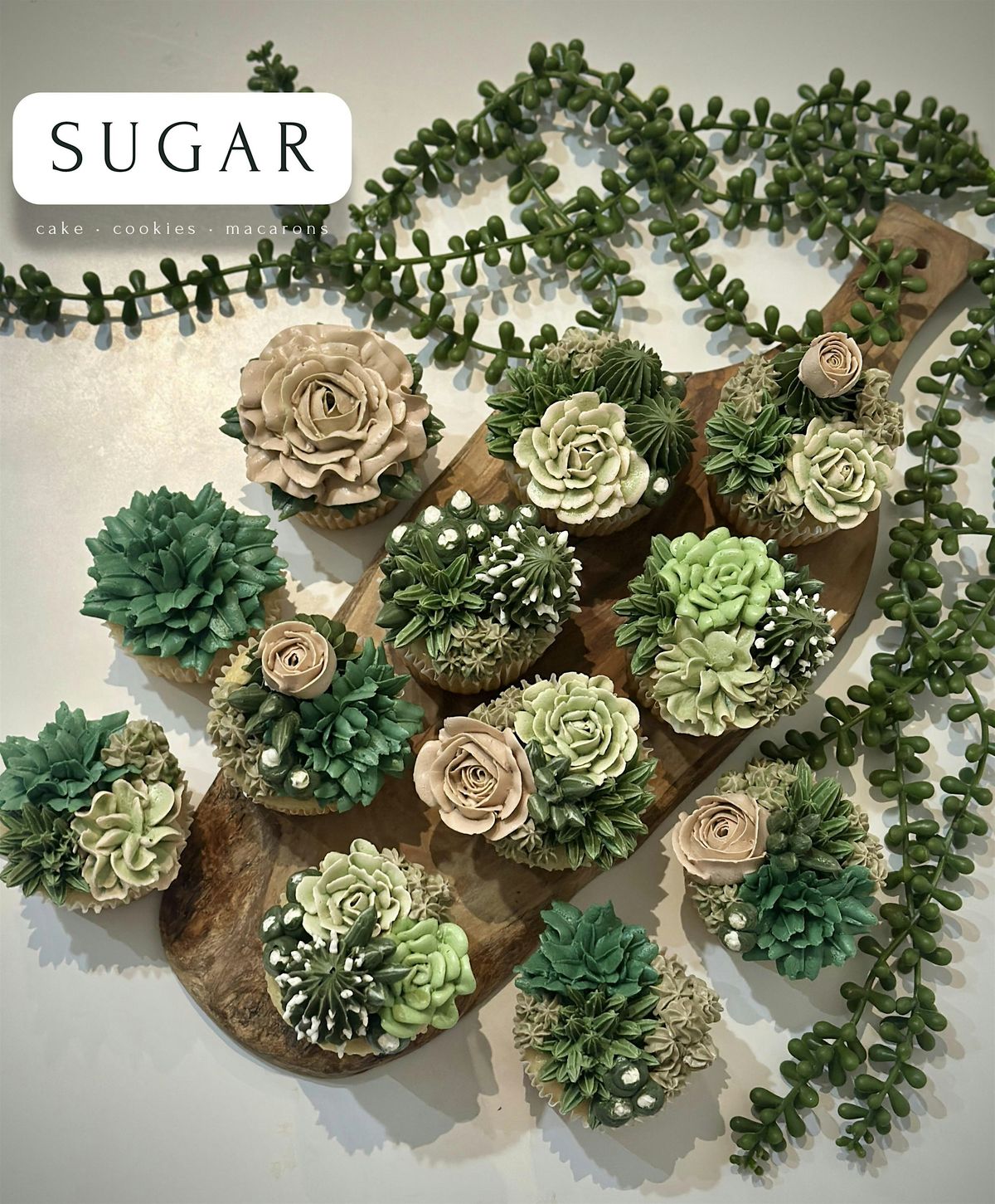 Buttercream Succulent & Cacti Design Cupcake Class - May 31