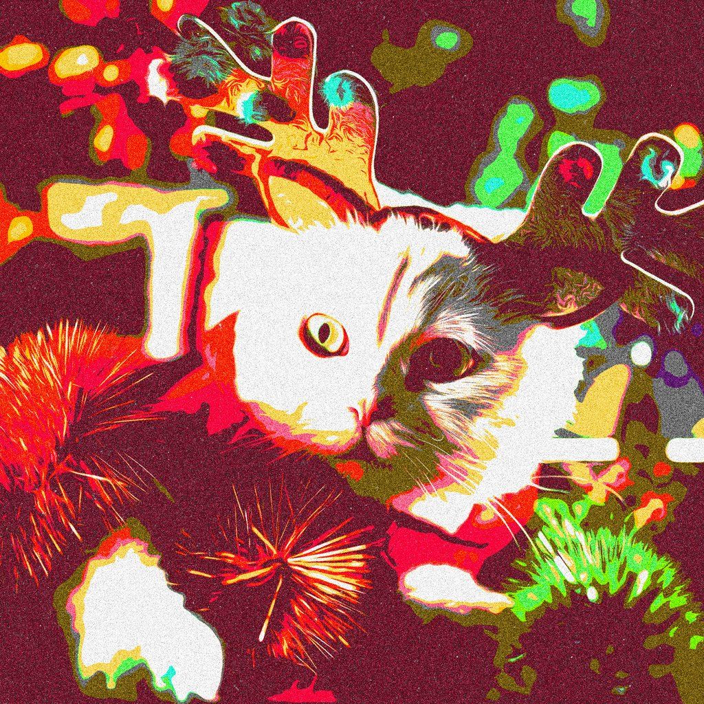 WINTER ROMANCE: Nottingham's biggest indie club night