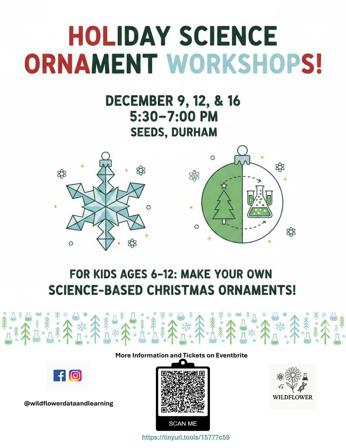 Holiday Science Ornaments Workshop for Kids