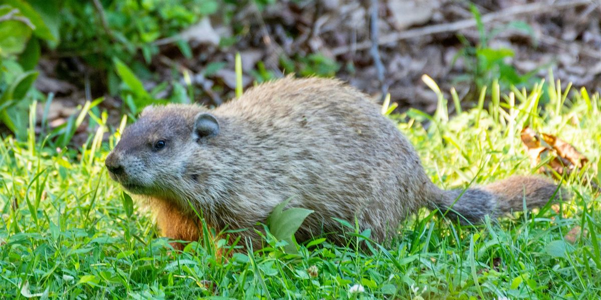 Celebrate the Season (2\/2)