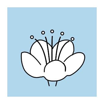 Self Confidence and Healthy Relationship Workshop for 16 to 25 year old.