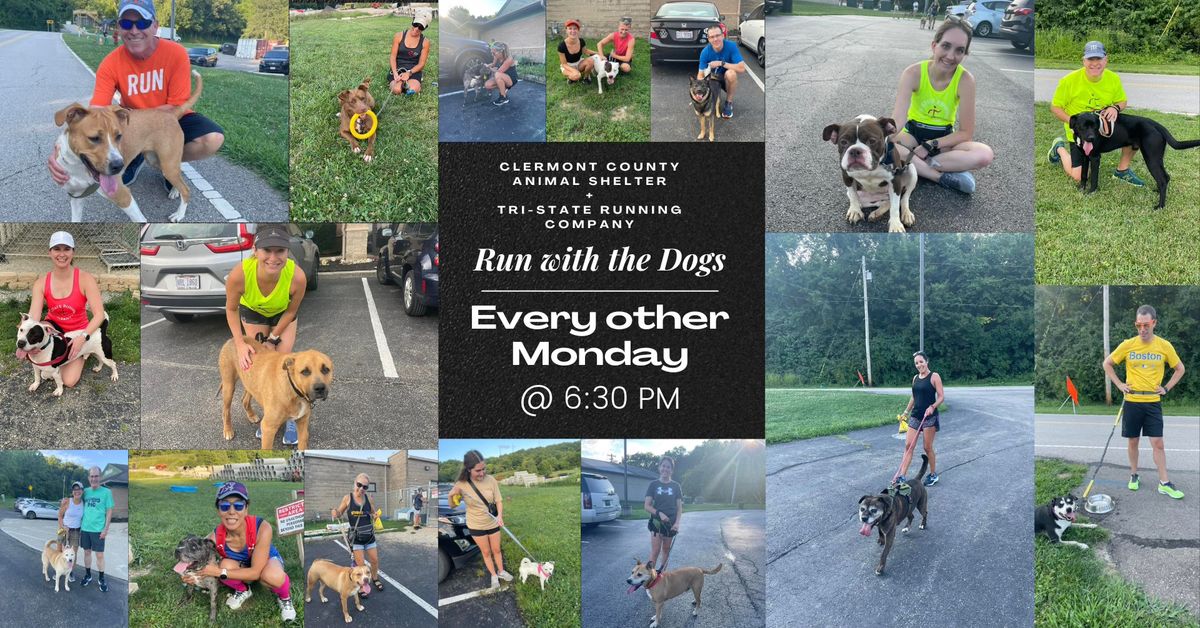 Run with the Dogs of Clermont County Animal Shelter | Clermont County ...