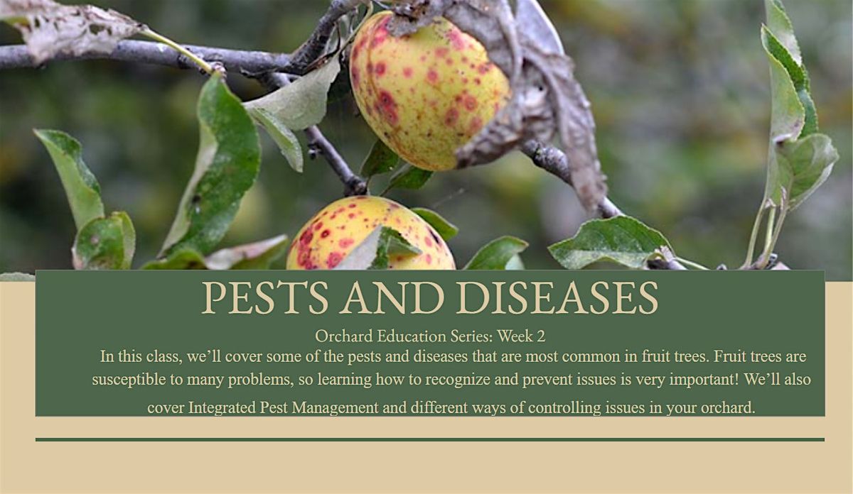 Pests and Diseases: Orchard Education Series