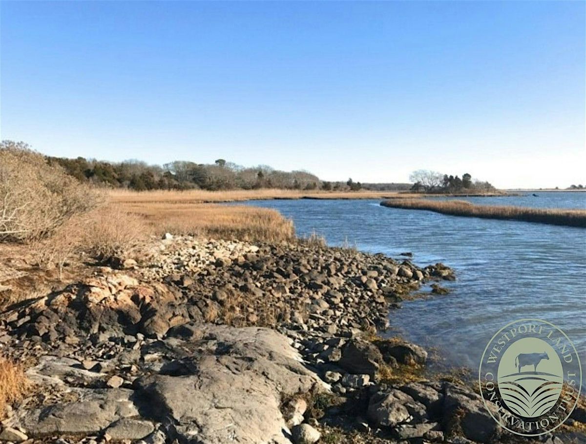 New Year's Day Walk at The Let