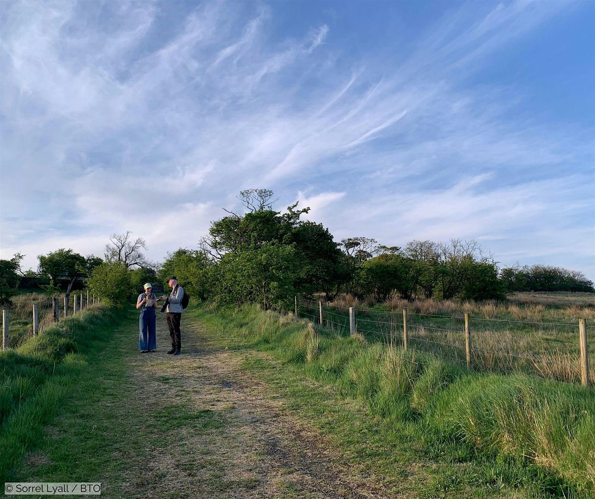 Spring Birding Support - Minnowburn