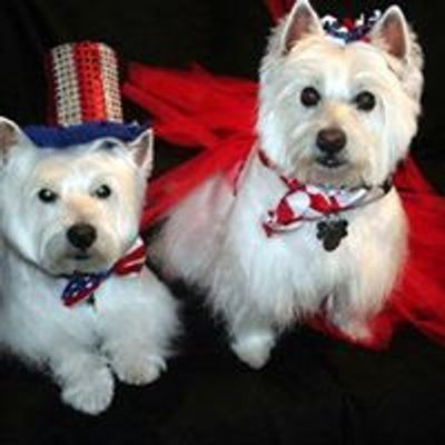 Westie Rescue and Placement of Northern California