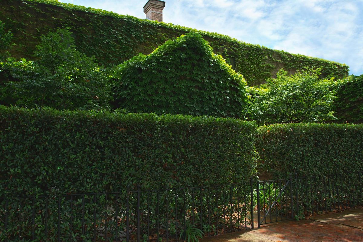Woollahra Walk