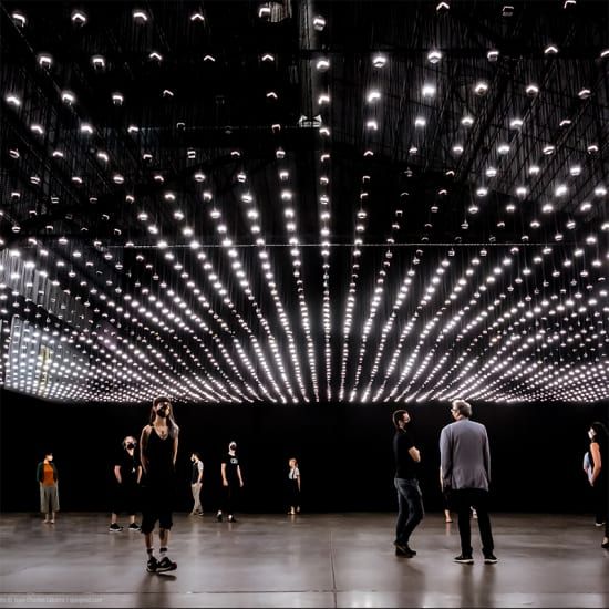 Rafael Lozano-Hemmer: Jard\u00edn inconcluso