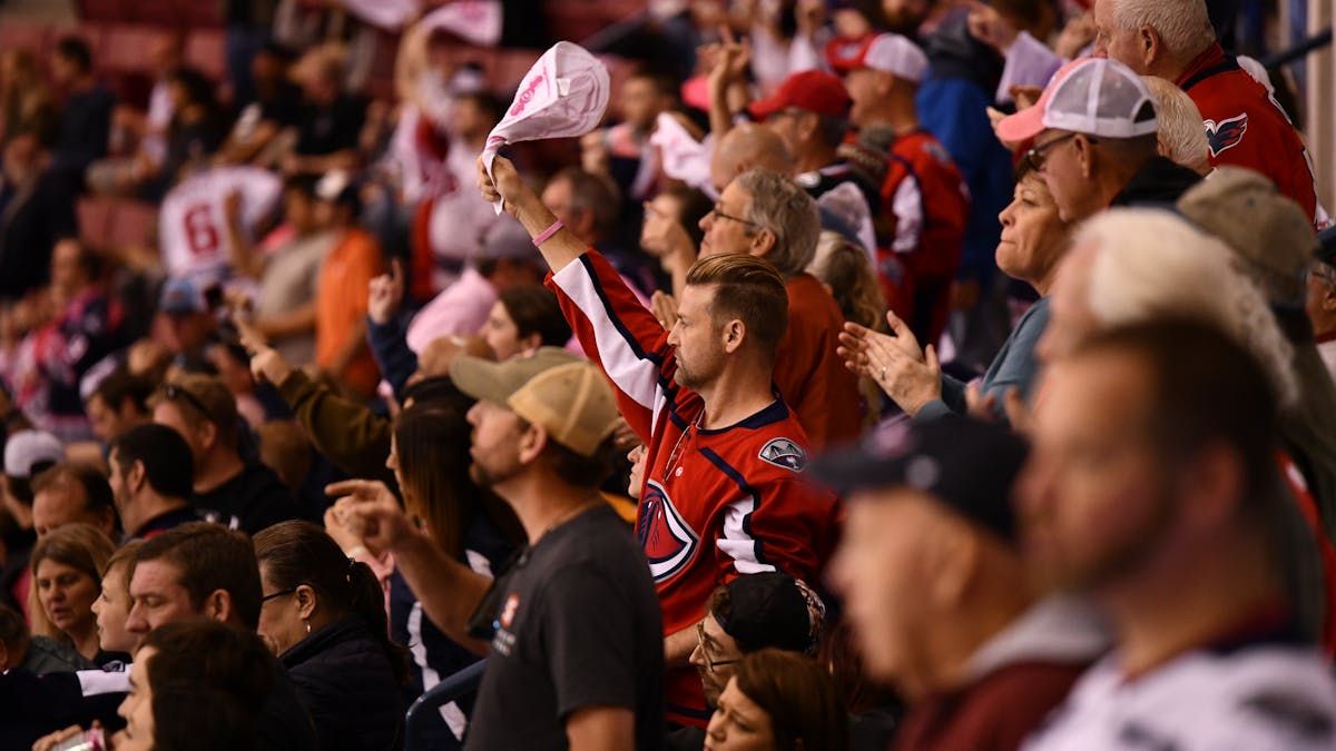 Parking Greensboro Gargoyles at South Carolina Stingrays