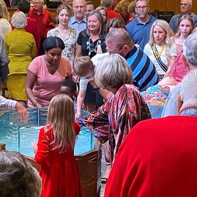 Shepherd of the Hills Lutheran Church